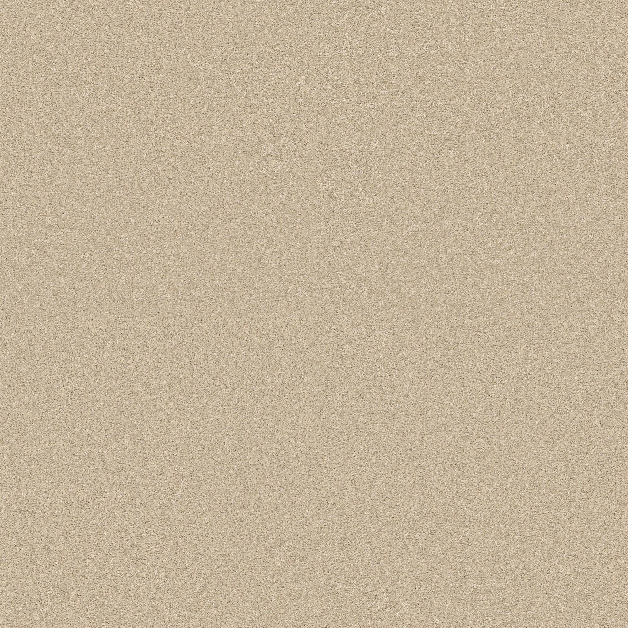 Exceptional III Carpet - Warm Breeze Zoomed Swatch Image