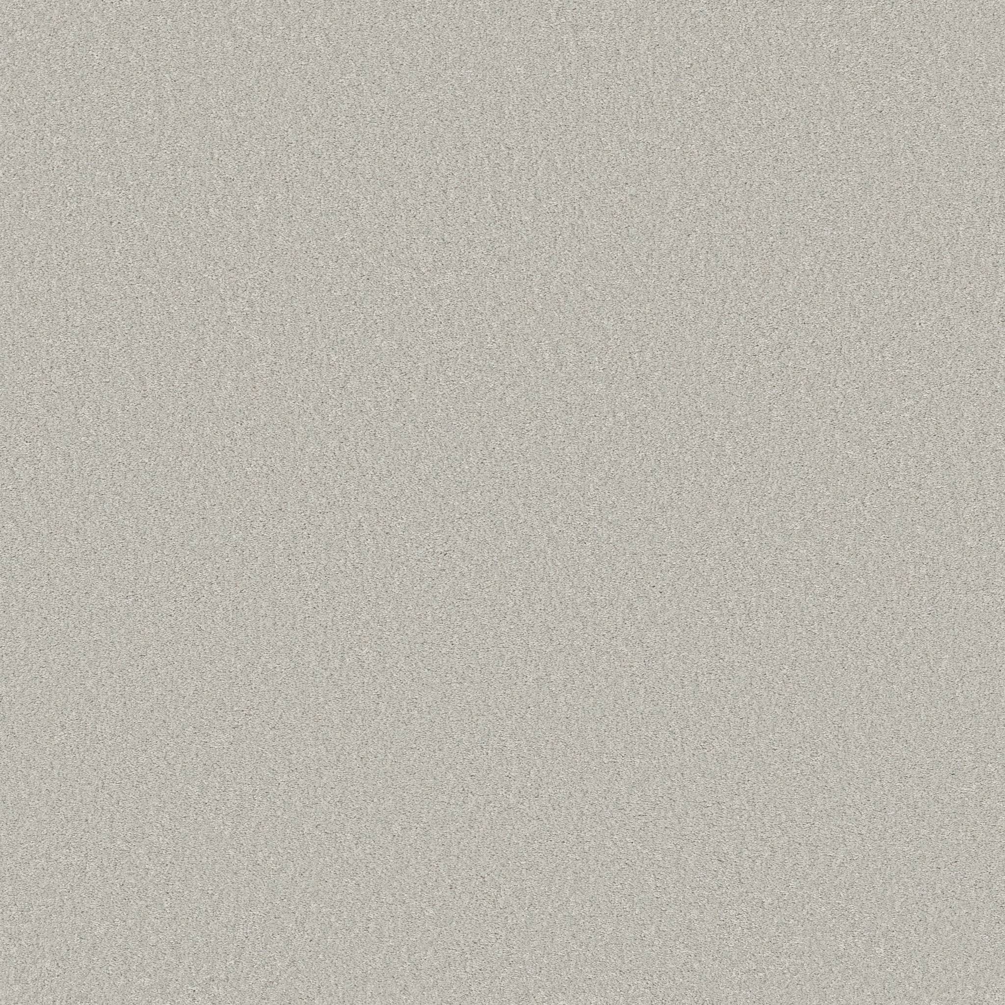 Exceptional III Carpet - Misty Zoomed Swatch Image
