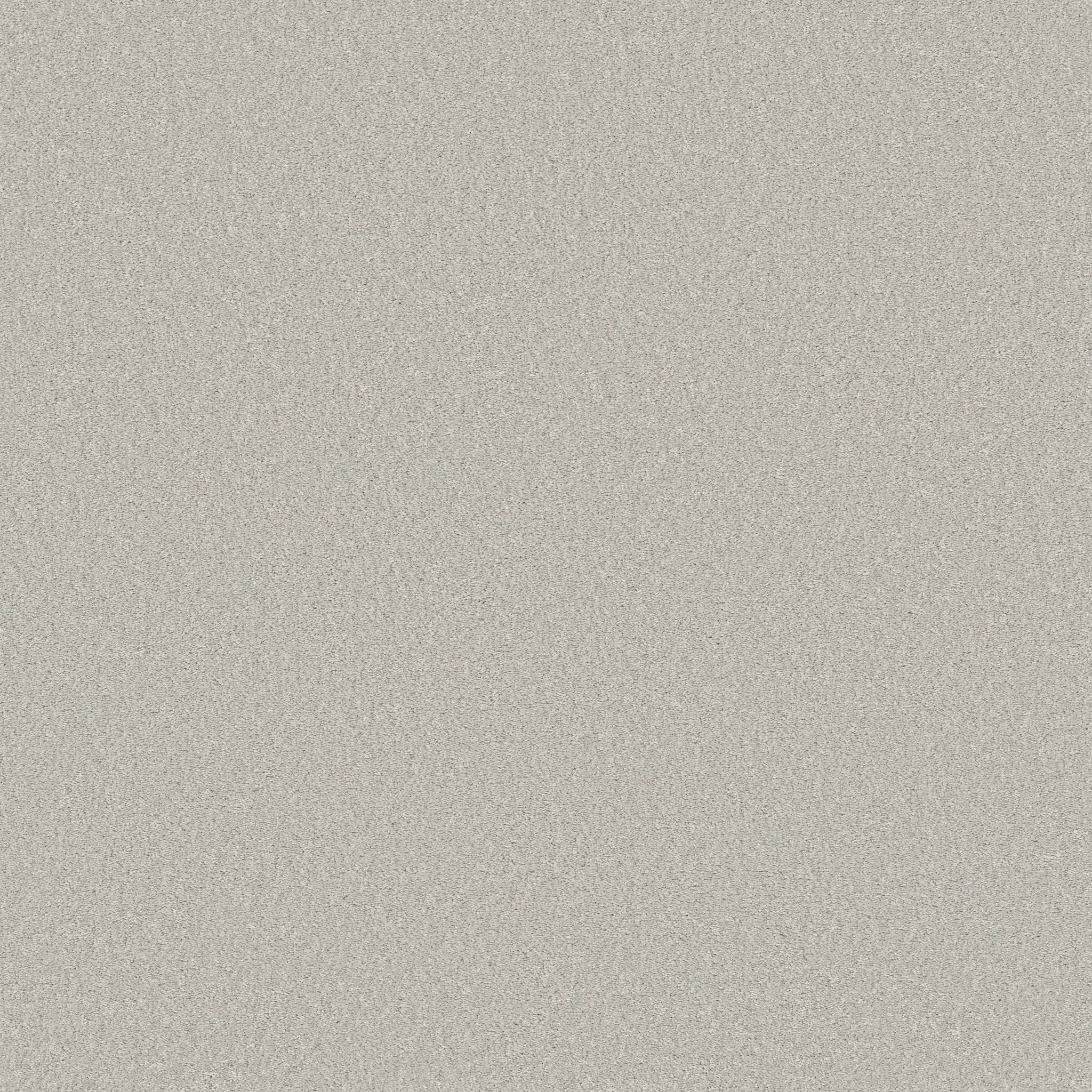 Exceptional III Carpet - Misty Zoomed Swatch Image