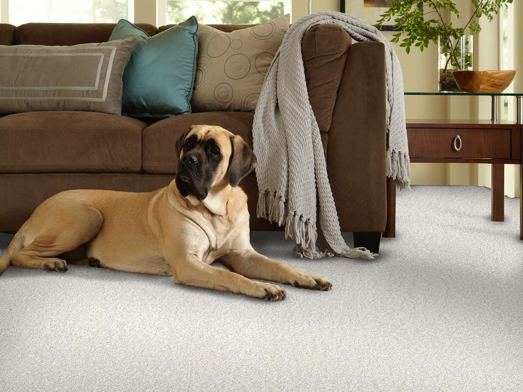 Exceptional III Carpet - Misty Room Scene Image