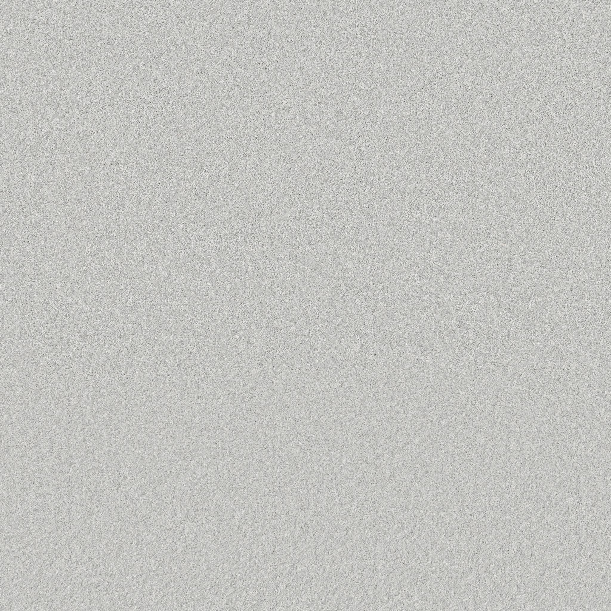 Exceptional III Carpet - Frost Zoomed Swatch Image
