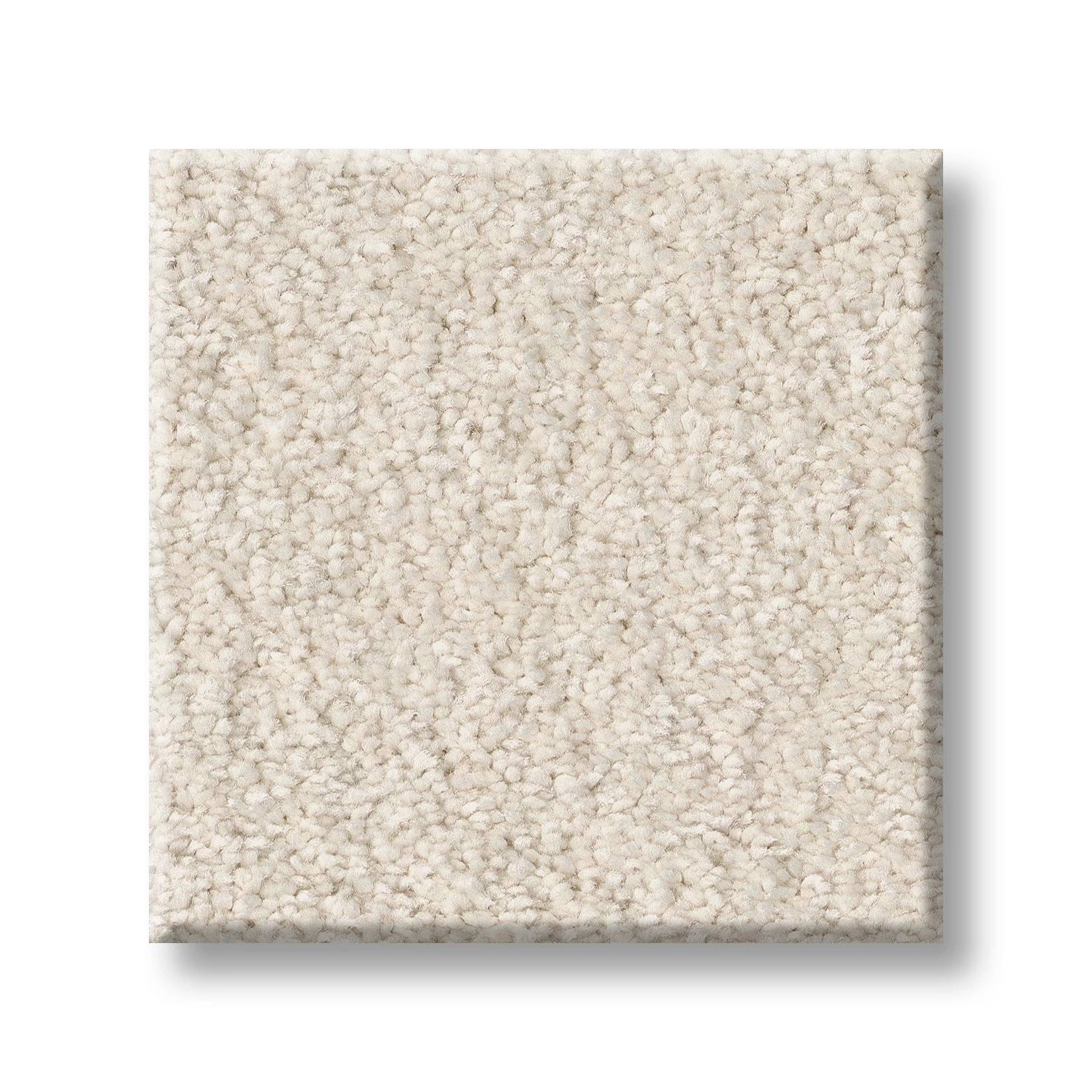 Exceptional III Carpet - Antique Ivory Swatch Thumbnail pupop1
