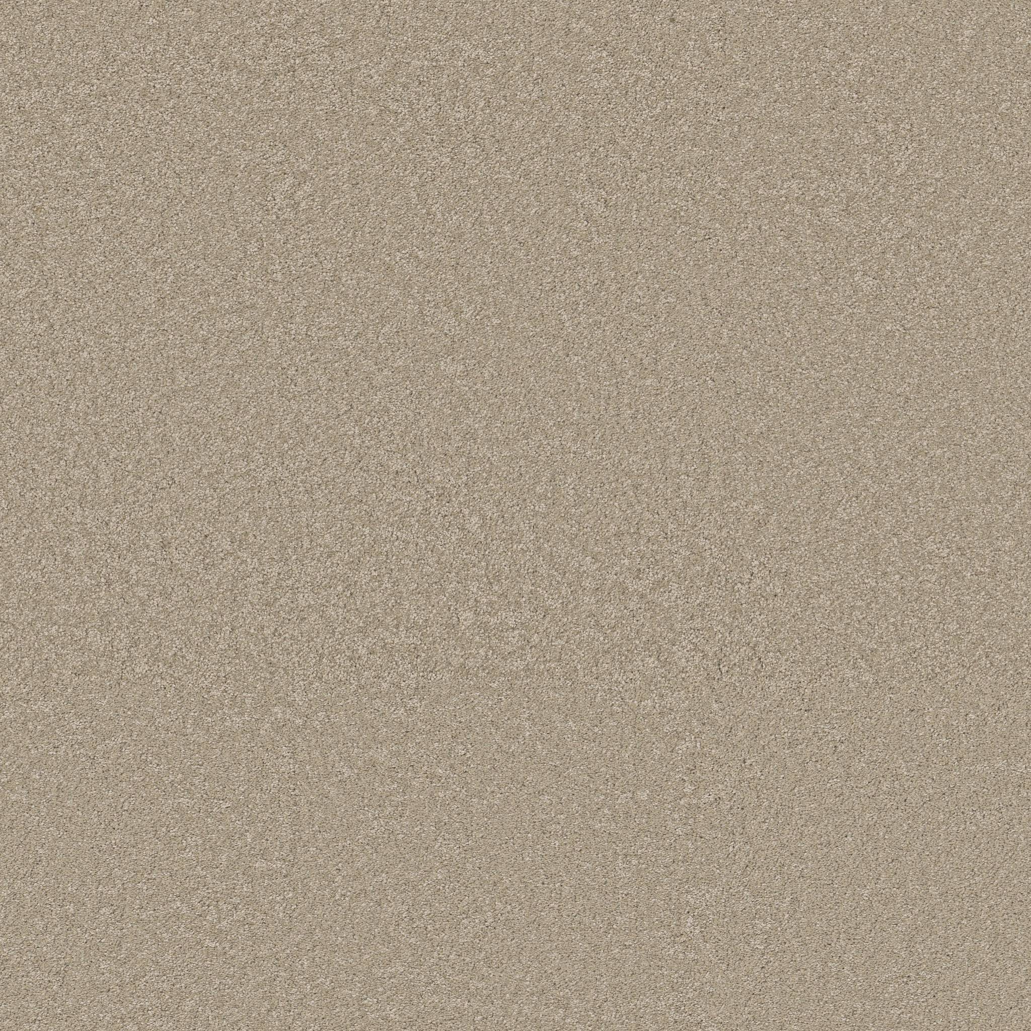 Exceptional III Carpet - Desert Khaki Zoomed Swatch Image