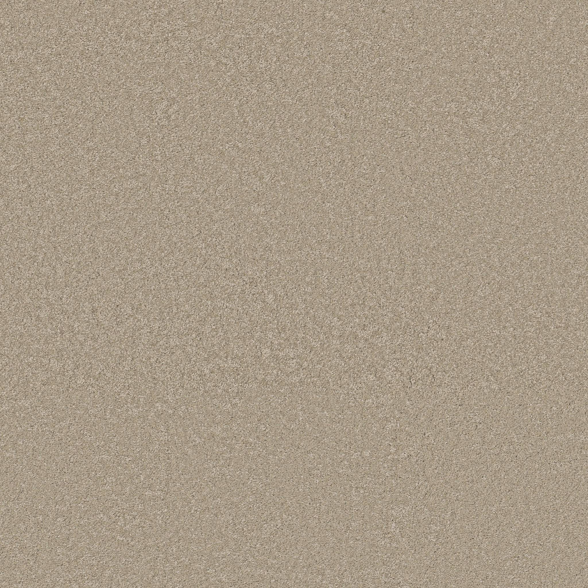 Exceptional III Carpet - Desert Khaki Zoomed Swatch Image