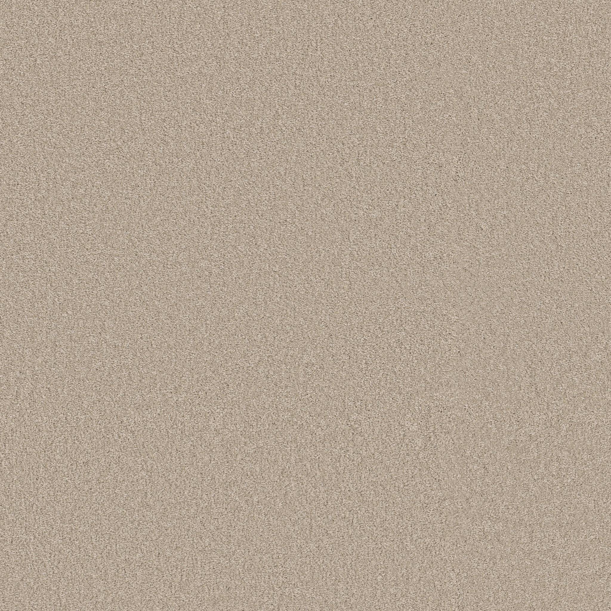 Exceptional III Carpet - Adobe Sand Zoomed Swatch Image