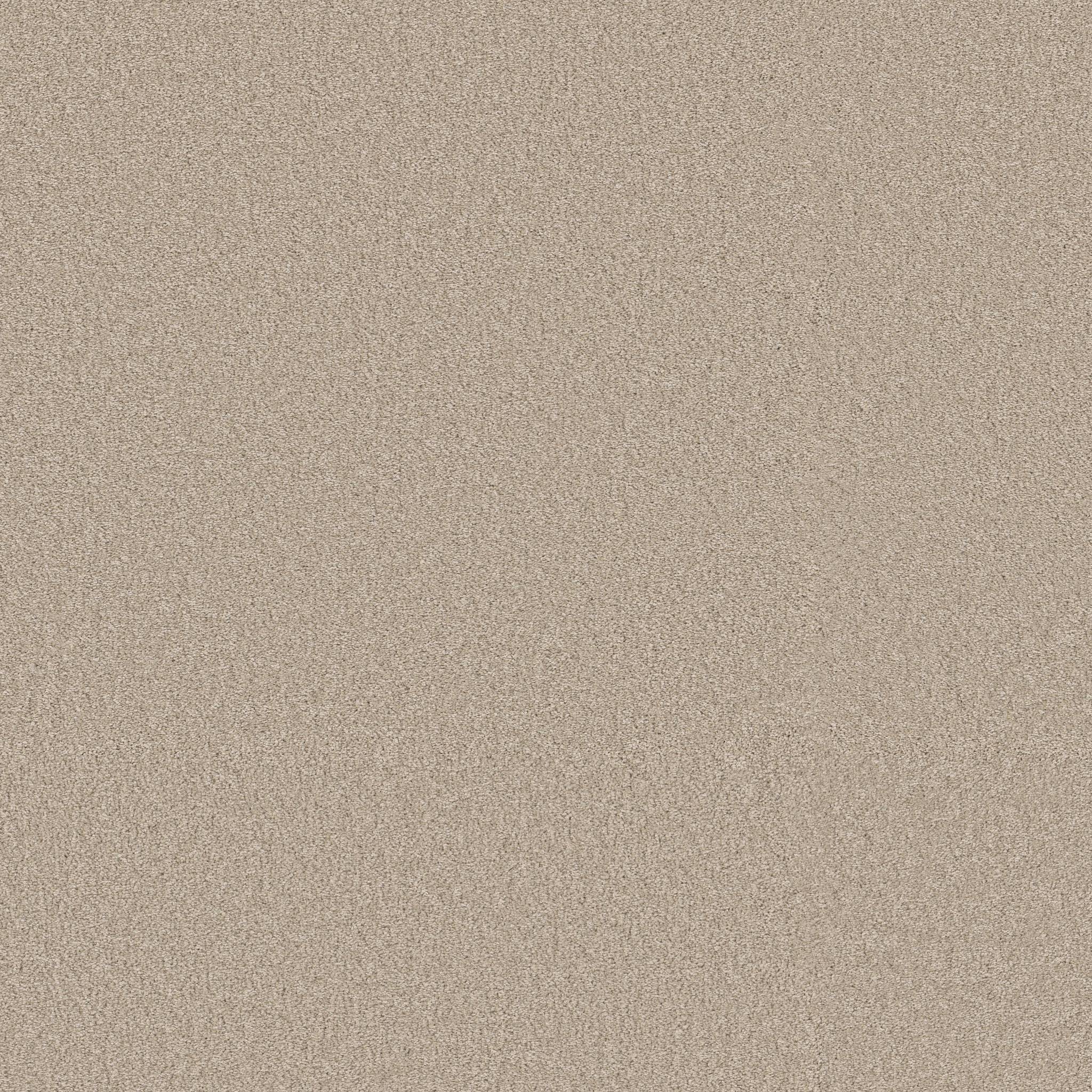 Exceptional III Carpet - Adobe Sand Zoomed Swatch Image