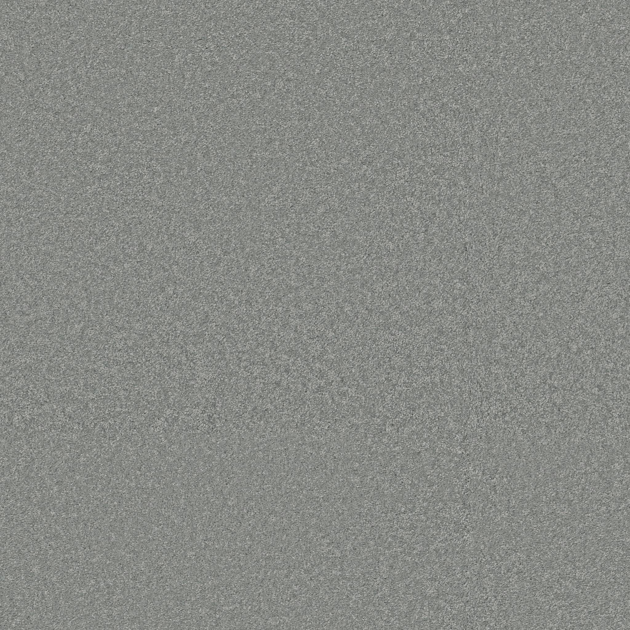 Exceptional III Carpet - Dolphin Fin Zoomed Swatch Image