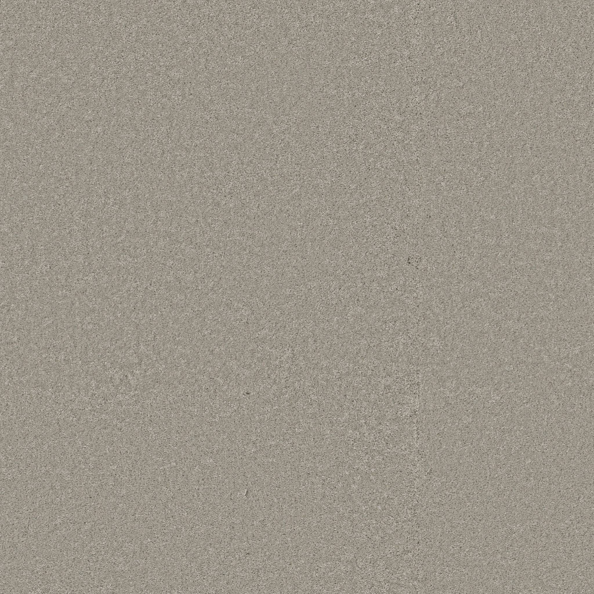 Exceptional III Carpet - Taupe Tone Zoomed Swatch Image