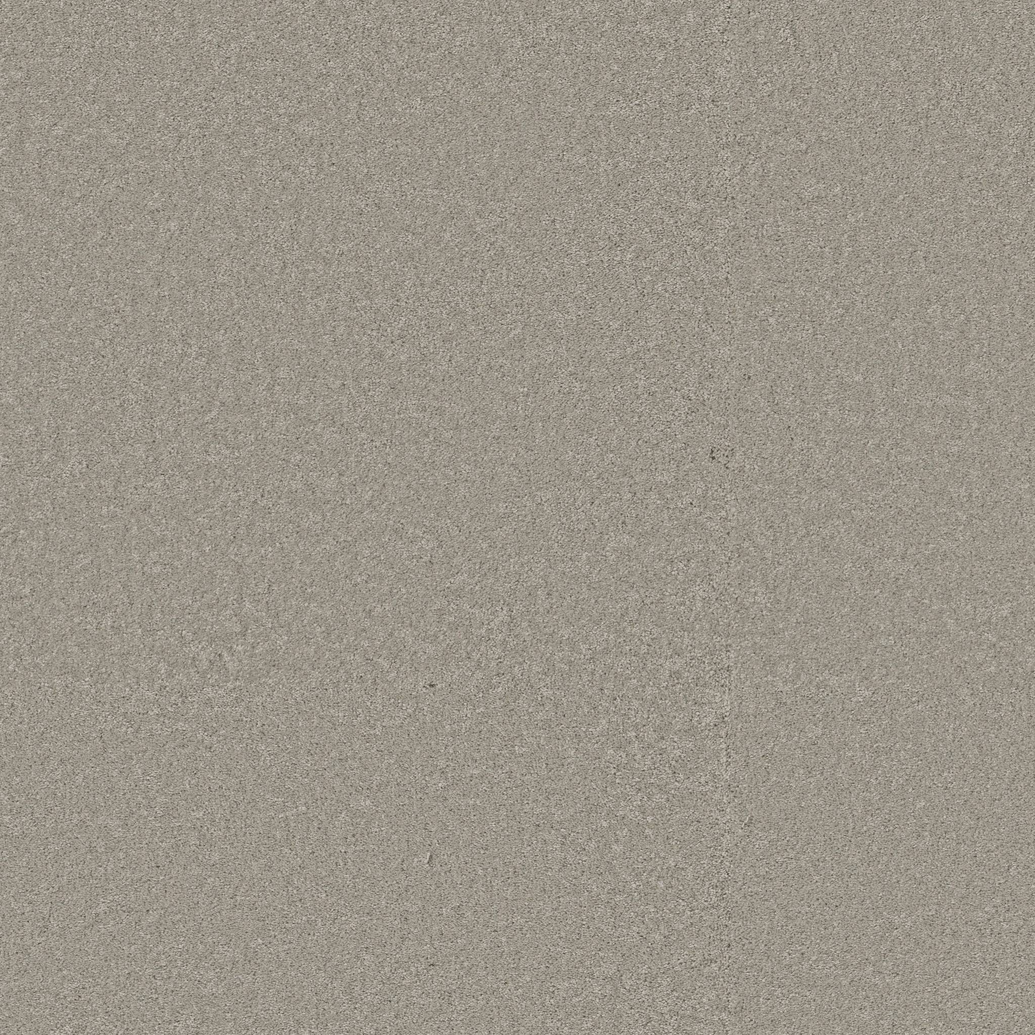 Exceptional III Carpet - Taupe Tone Zoomed Swatch Image