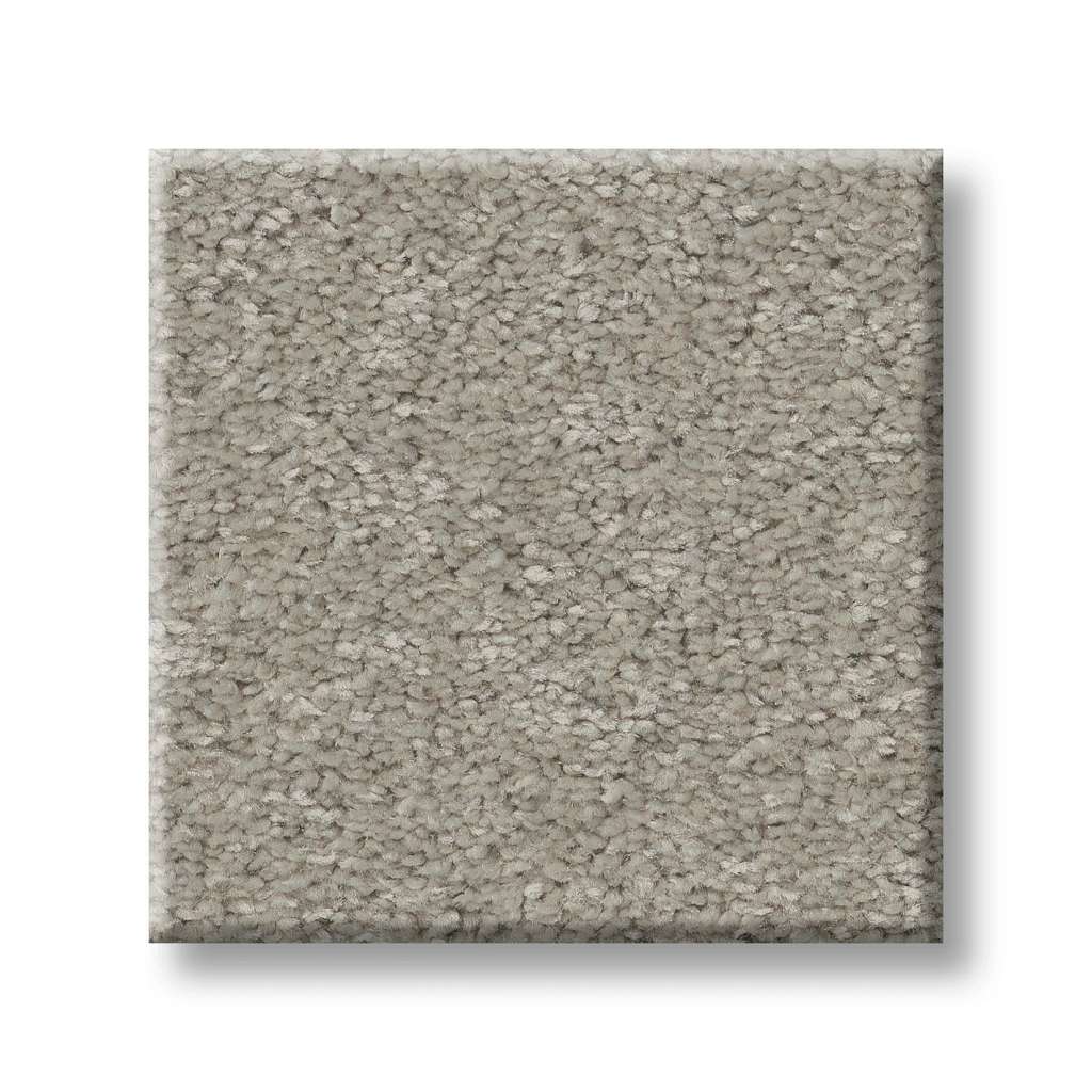 Exceptional III Carpet - Taupe Tone  Swatch Image 