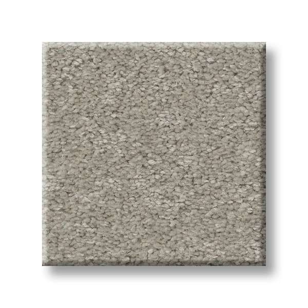 Style Exceptional III Carpet - Taupe Tone Swatch