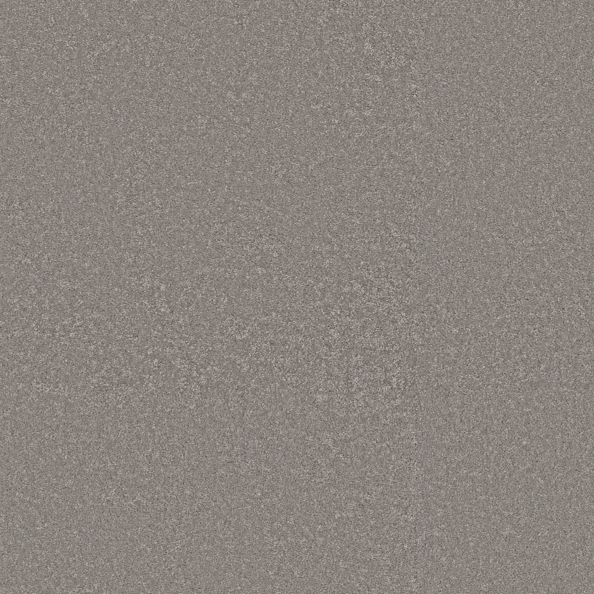 Exceptional III Carpet - Chicago Fog Zoomed Swatch Image