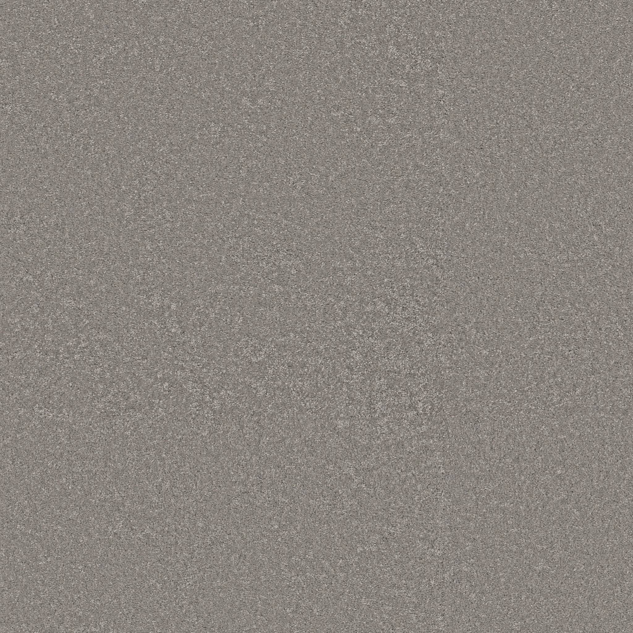 Exceptional III Carpet - Chicago Fog Zoomed Swatch Image