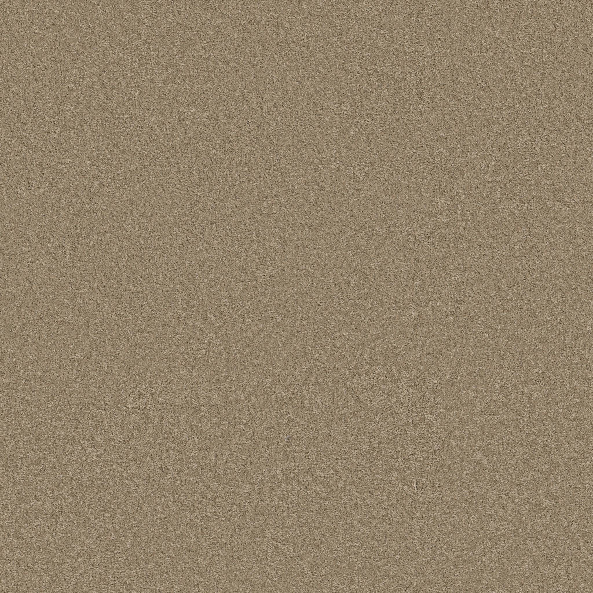 Exceptional III Carpet - Hidden Treasure Zoomed Swatch Image