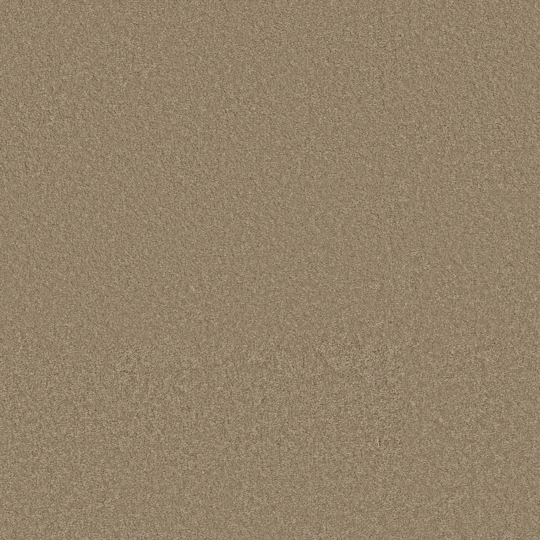 Exceptional III Carpet - Hidden Treasure Zoomed Swatch Image