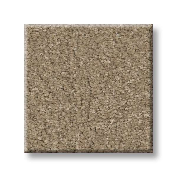 Style Exceptional III Carpet - Hidden Treasure Swatch