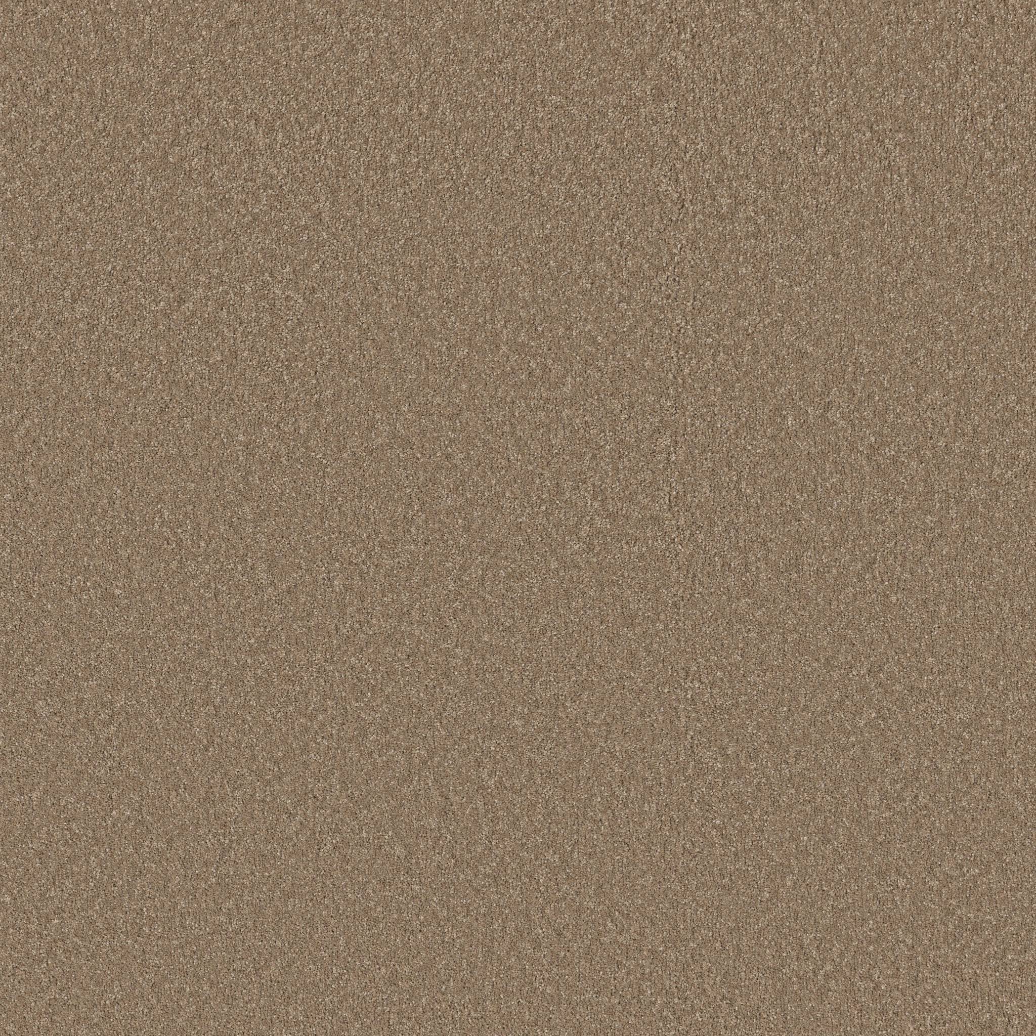 Exceptional III Carpet - Polo Tan Zoomed Swatch Image