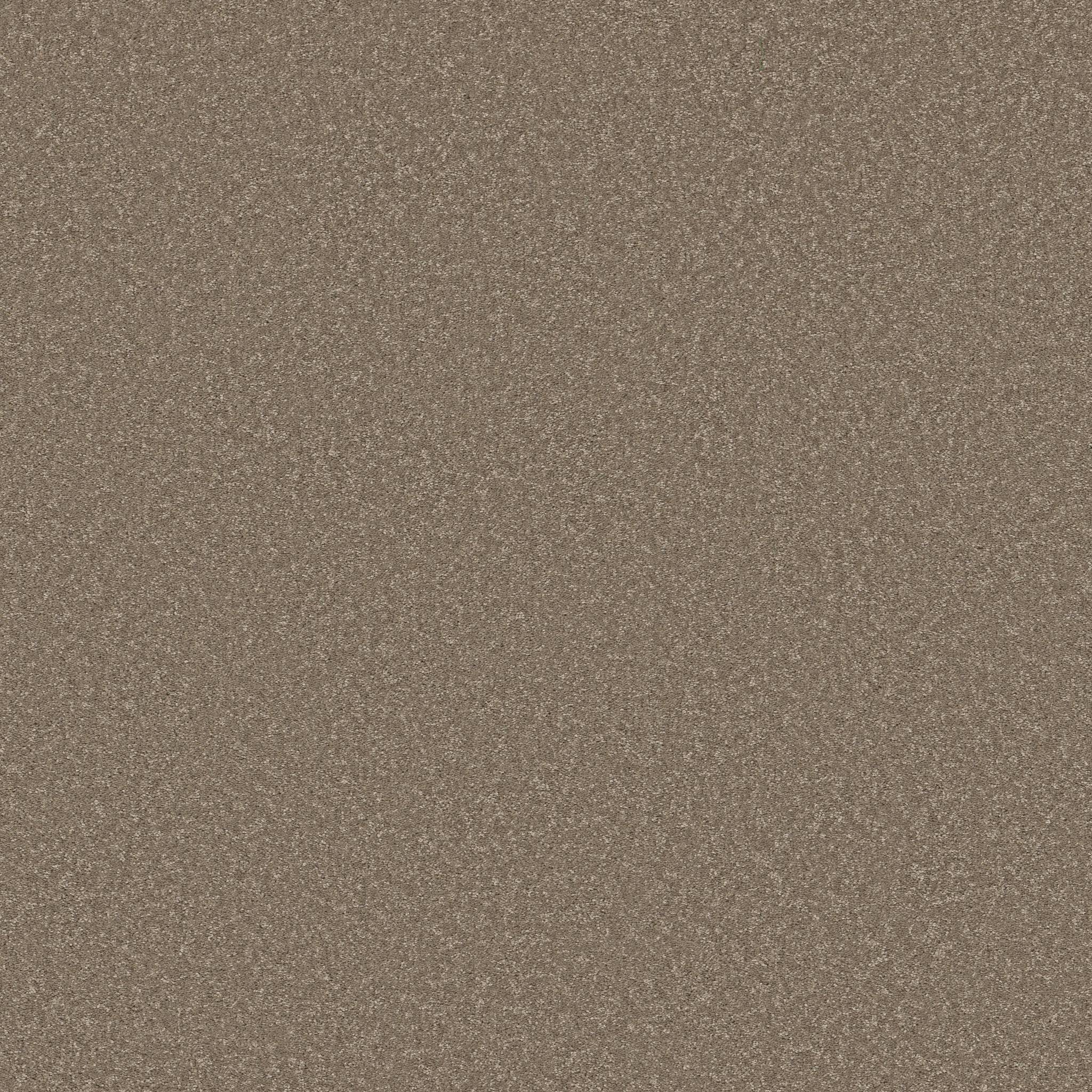 Exceptional III Carpet - Chic Taupe Zoomed Swatch Image