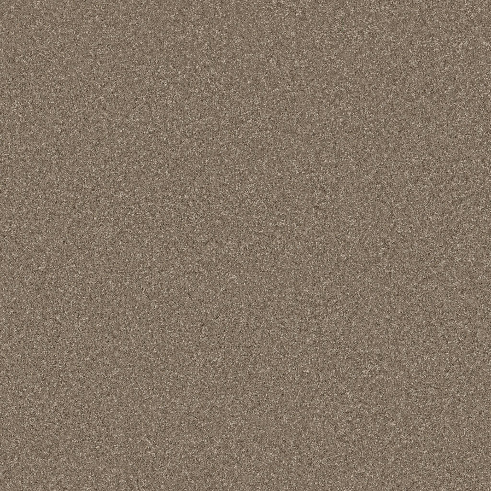 Exceptional III Carpet - Chic Taupe Zoomed Swatch Image