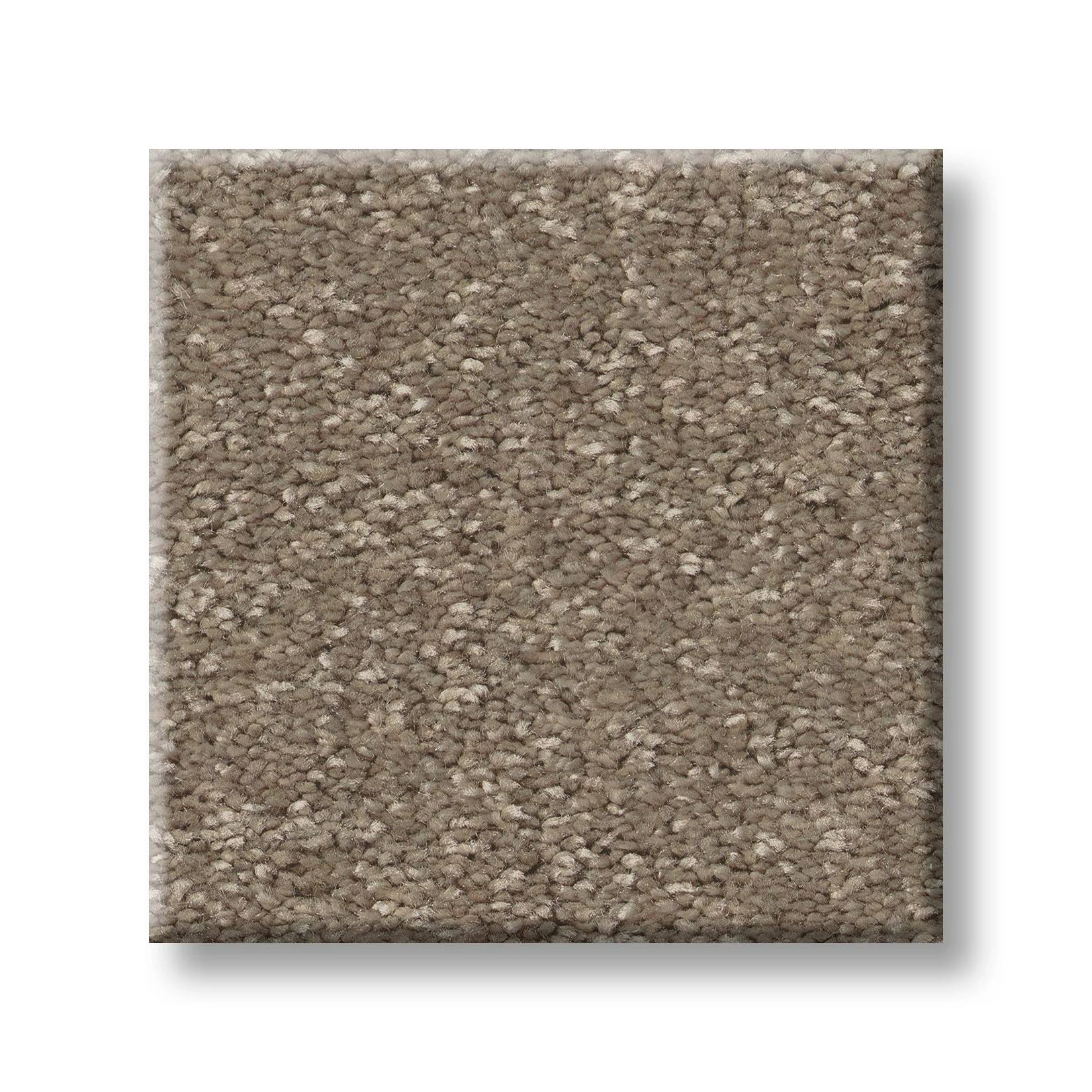 Exceptional III Carpet - Chic Taupe Swatch Thumbnail pupop1