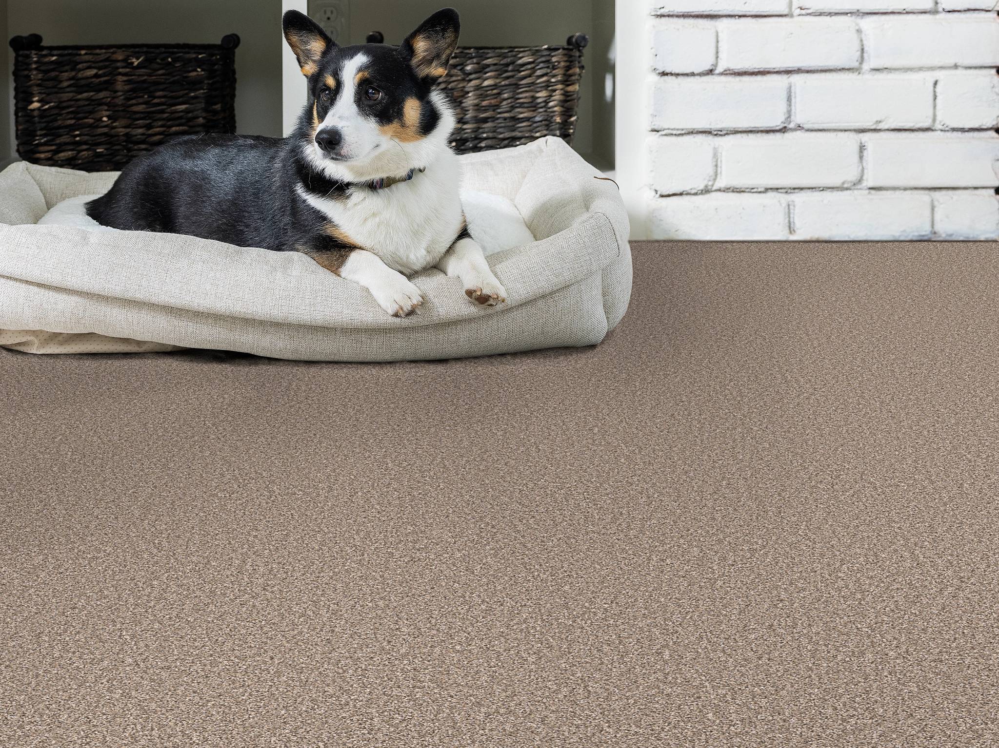 Style - Throw Back,  Color - FOLKLORE - Room Scene