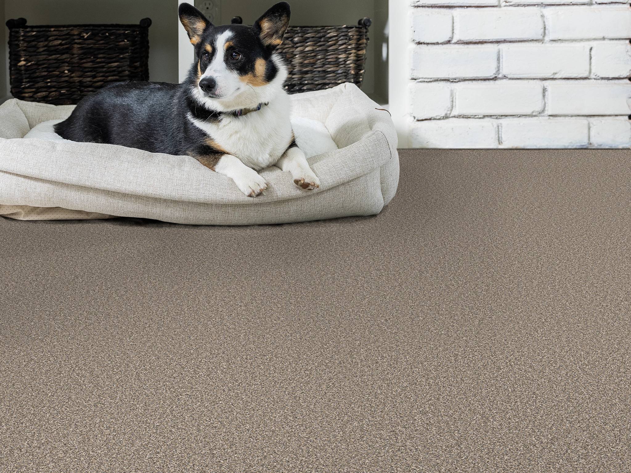 Style - Throw Back,  Color - NUTRIA - Room Scene