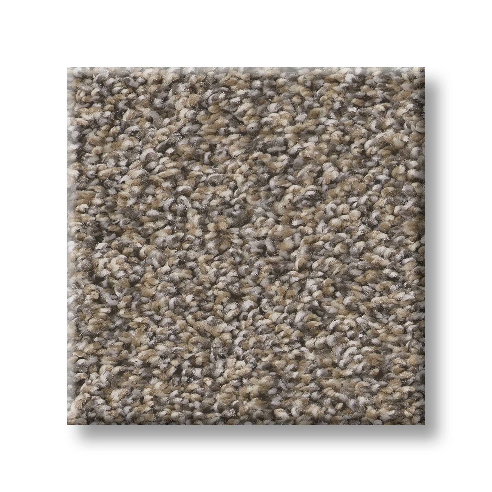 Throw Back Carpet - Nutria Swatch Thumbnail pupop1