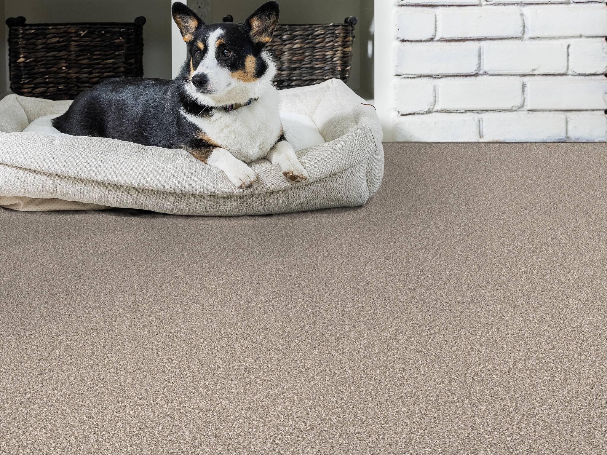 Style - Throw Back,  Color - PEBBLE - Room Scene