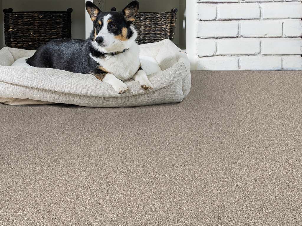 Throw Back Carpet - Pebble Room Scene Image