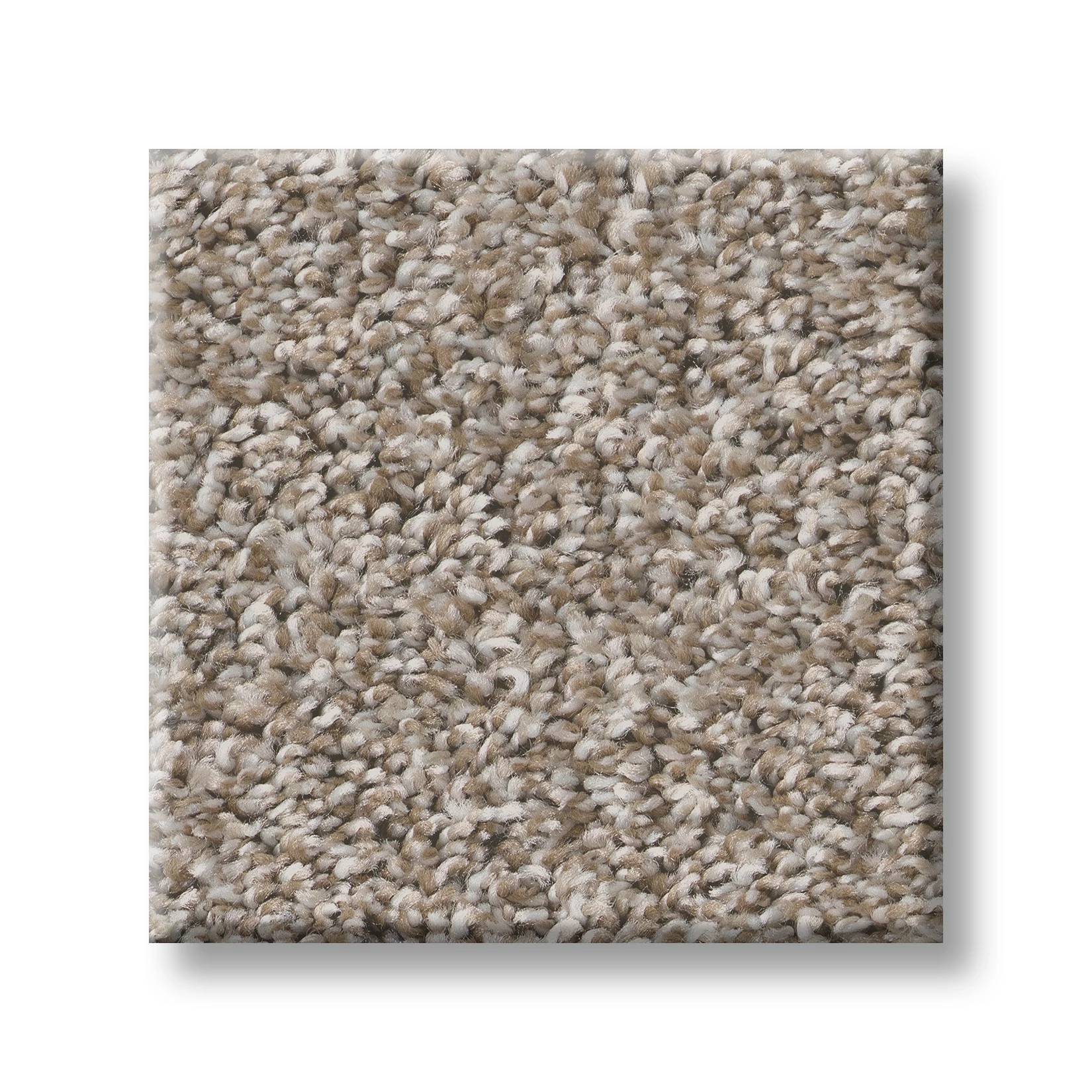 Throw Back Carpet - Pebble Swatch Thumbnail pupop1
