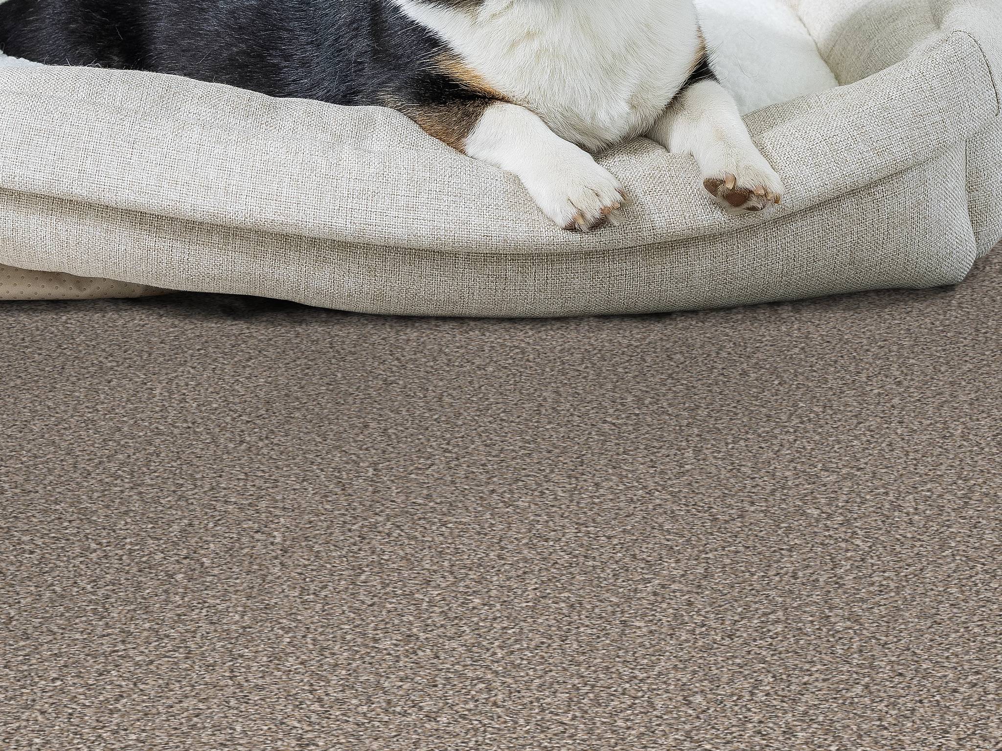 Style - Throw Back,  Color - COBBLE DRIVE - Room Scene