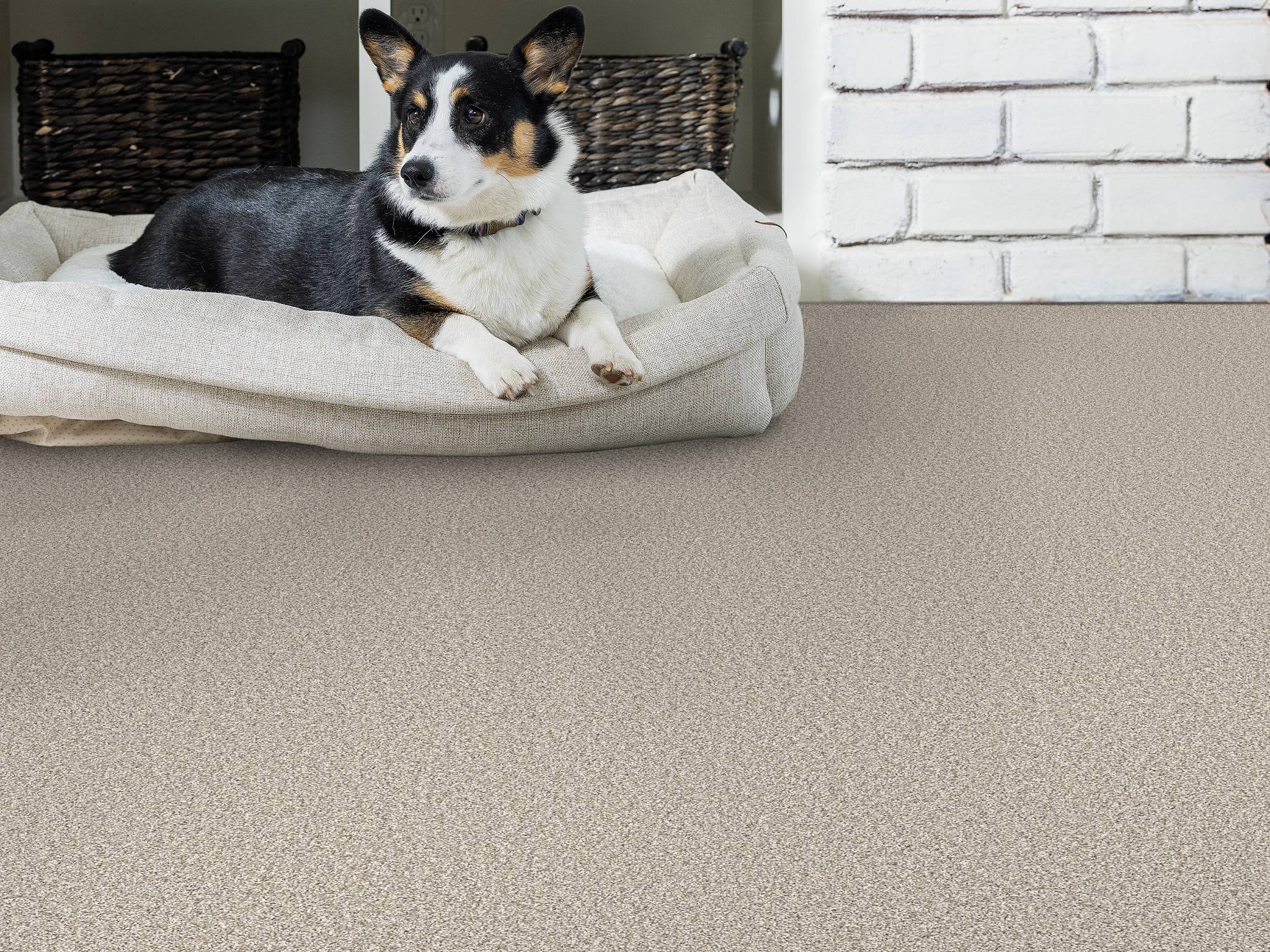 Style - Throw Back,  Color - CANOE - Room Scene