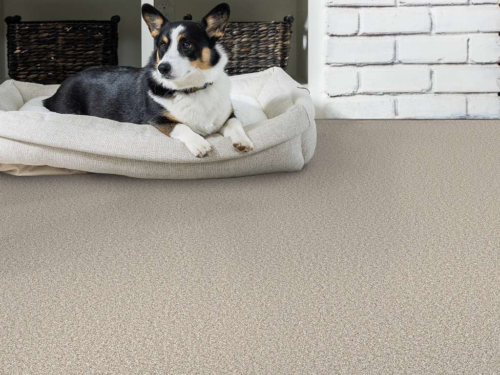 Throw Back Carpet - Canoe Room Scene Image