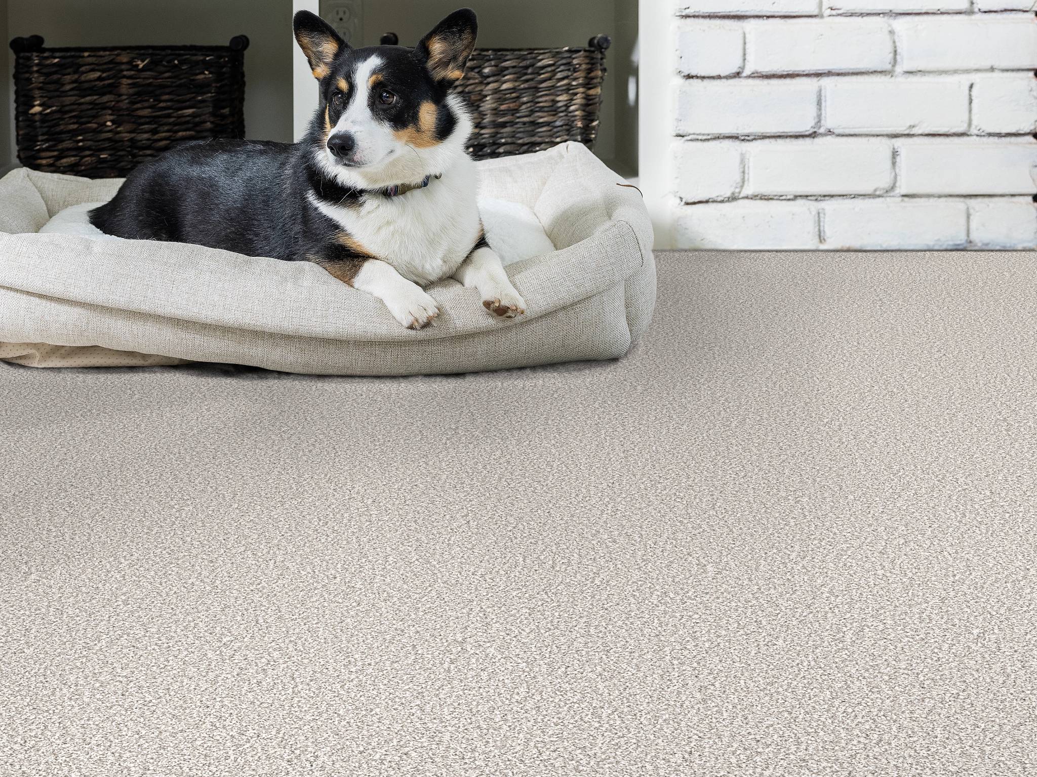 Style - Throw Back,  Color - SILVER LINING - Room Scene