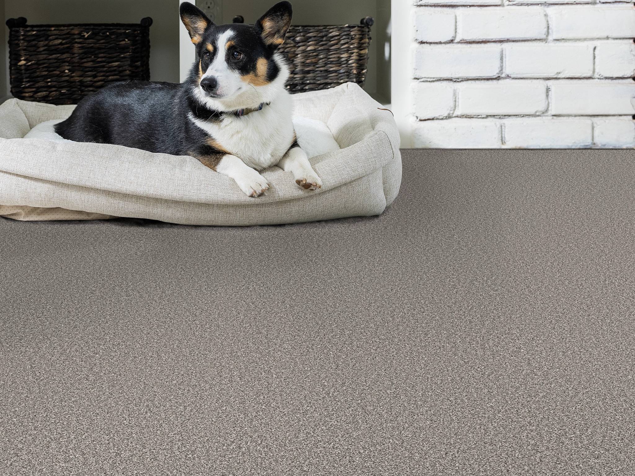 Style - Throw Back,  Color - ANTIQUE PEWTER - Room Scene