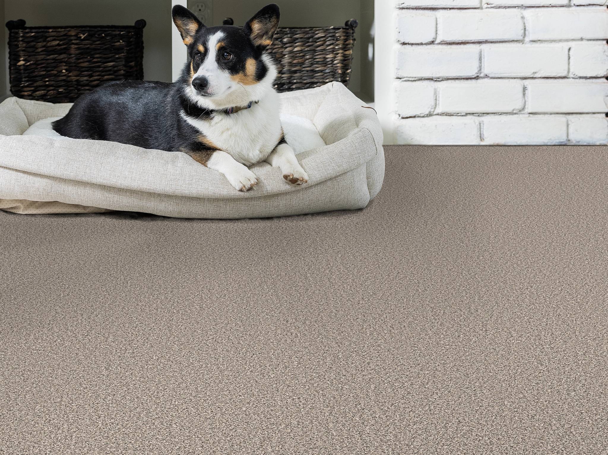 Style - Throw Back,  Color - VAPOR - Room Scene