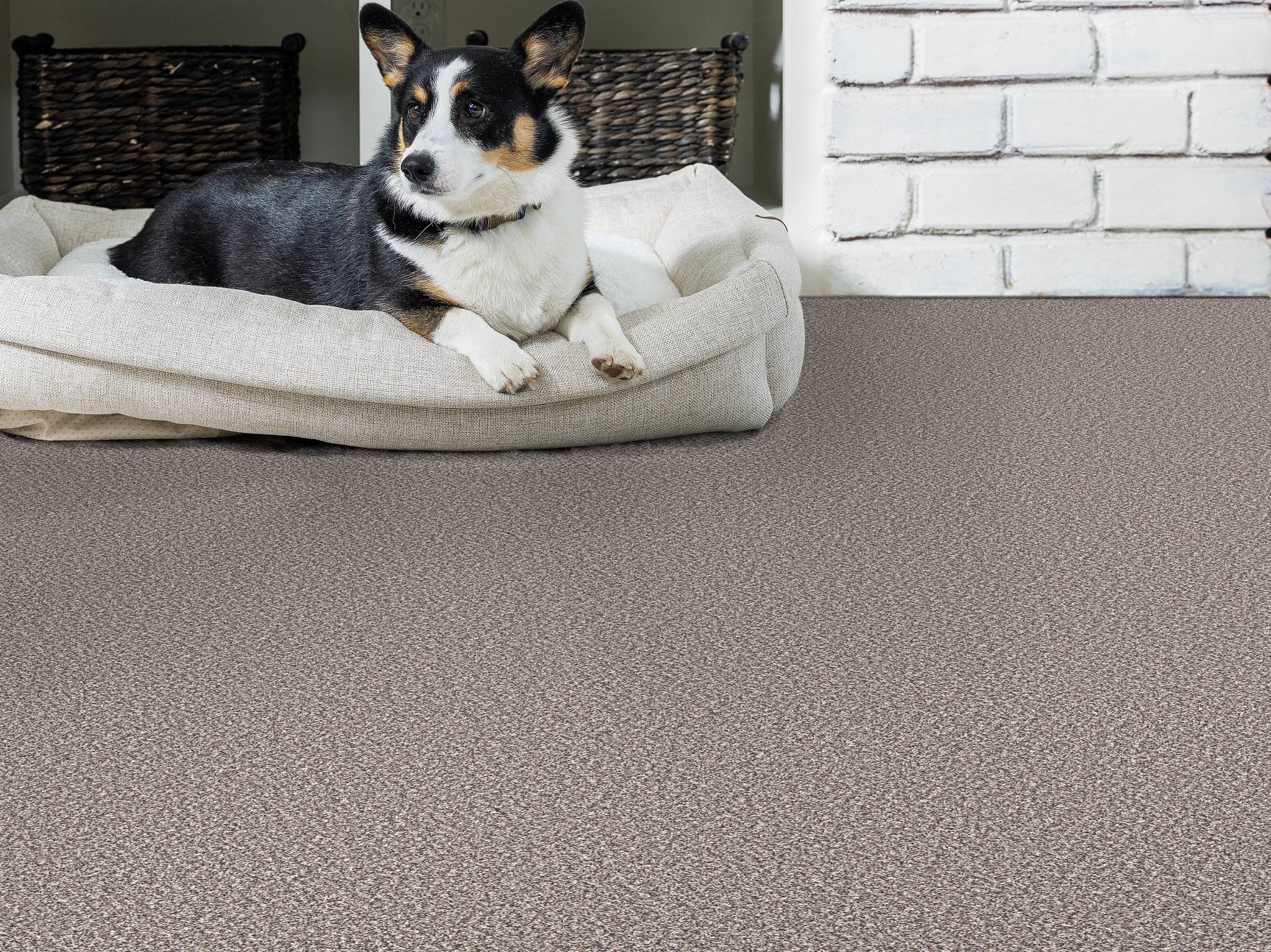 Style - Throw Back,  Color - MINERAL - Room Scene