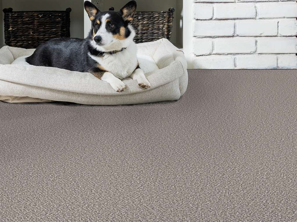 Throw Back Carpet - Mineral Room Scene Image