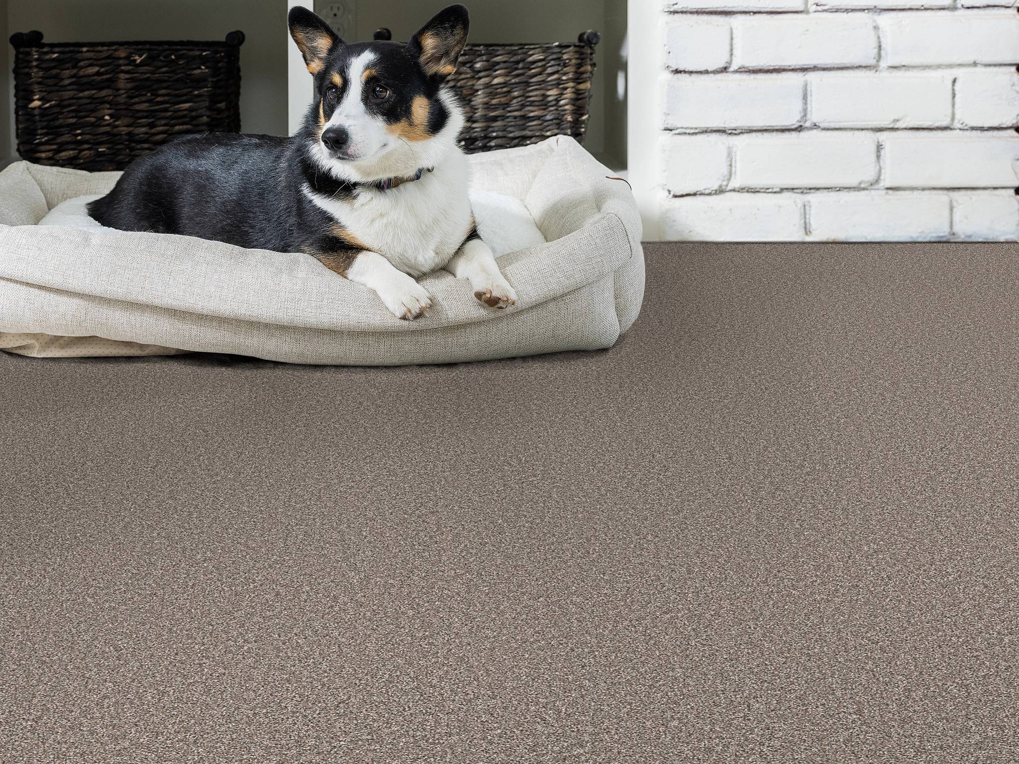 Style - Throw Back,  Color - NATURE TRAIL - Room Scene