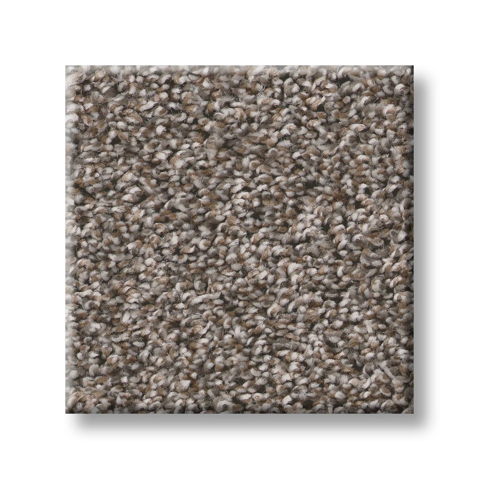 Throw Back Carpet - Nature Trail Swatch Thumbnail pupop1