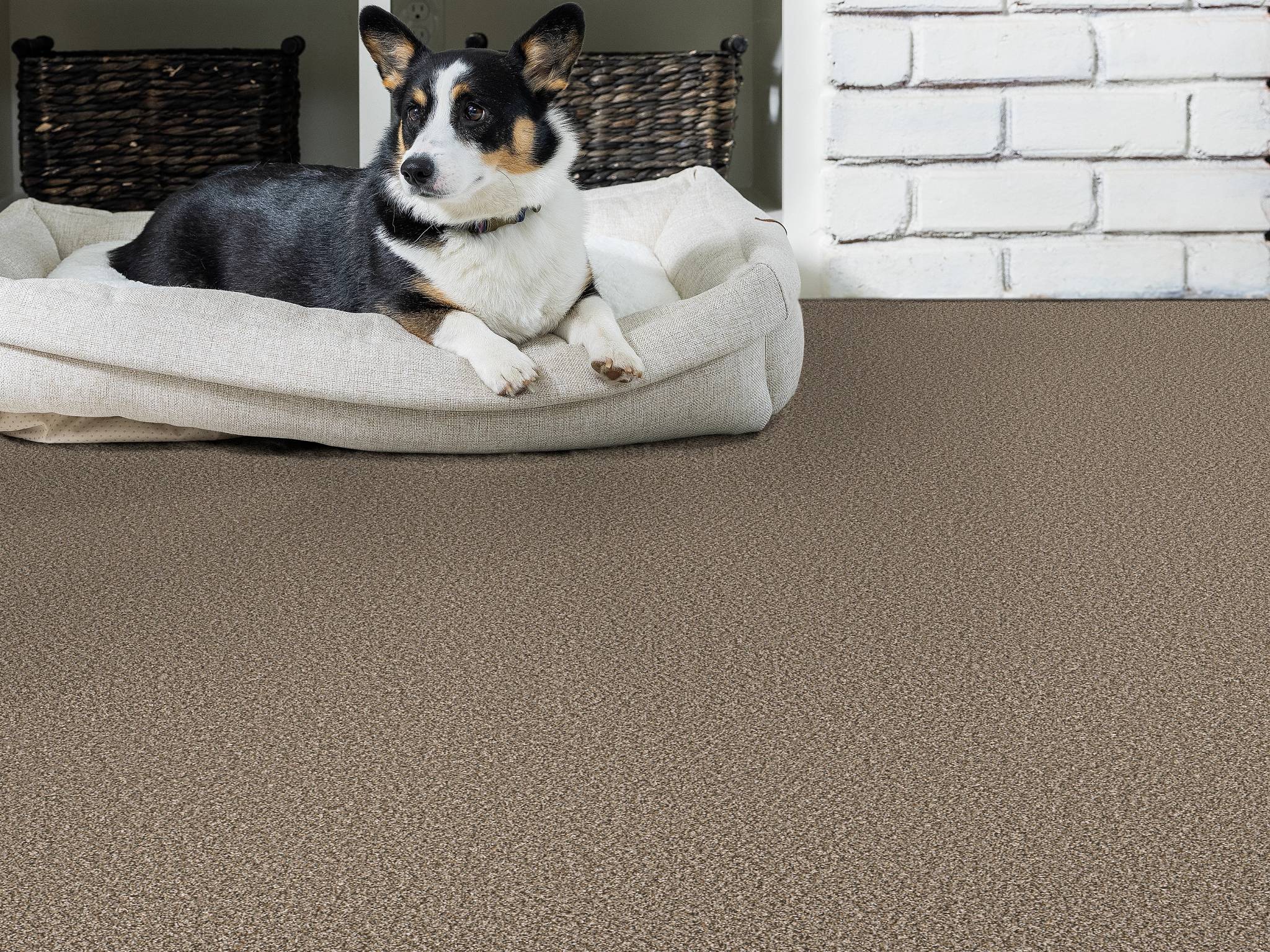 Style - Throw Back,  Color - DRY CREEK - Room Scene