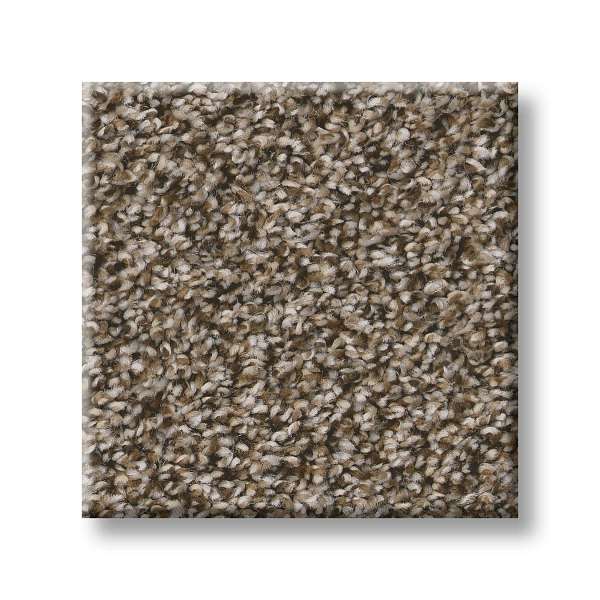 Style Throw Back Carpet - Dry Creek Swatch