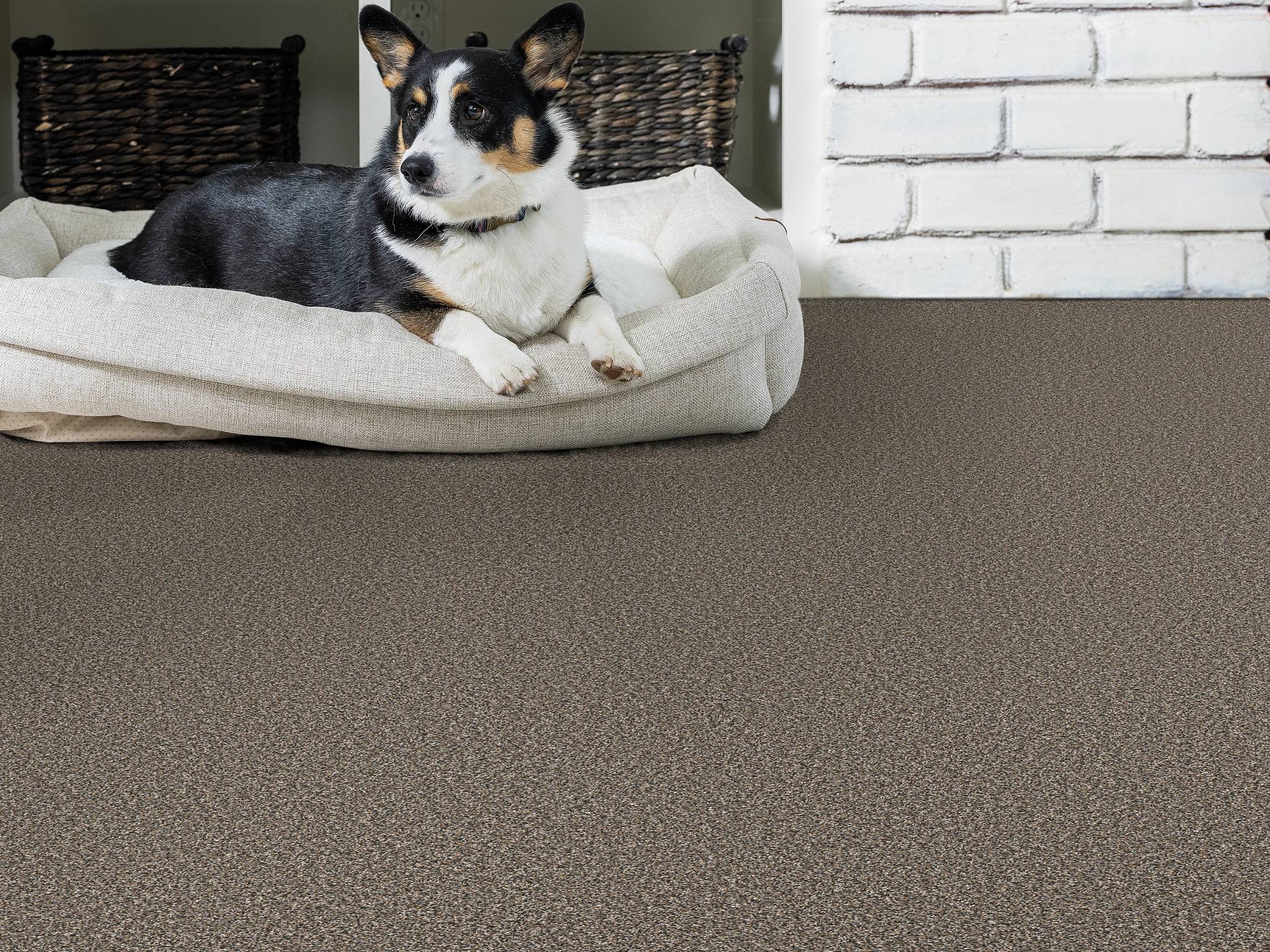 Style - Throw Back,  Color - ROCK GARDEN - Room Scene