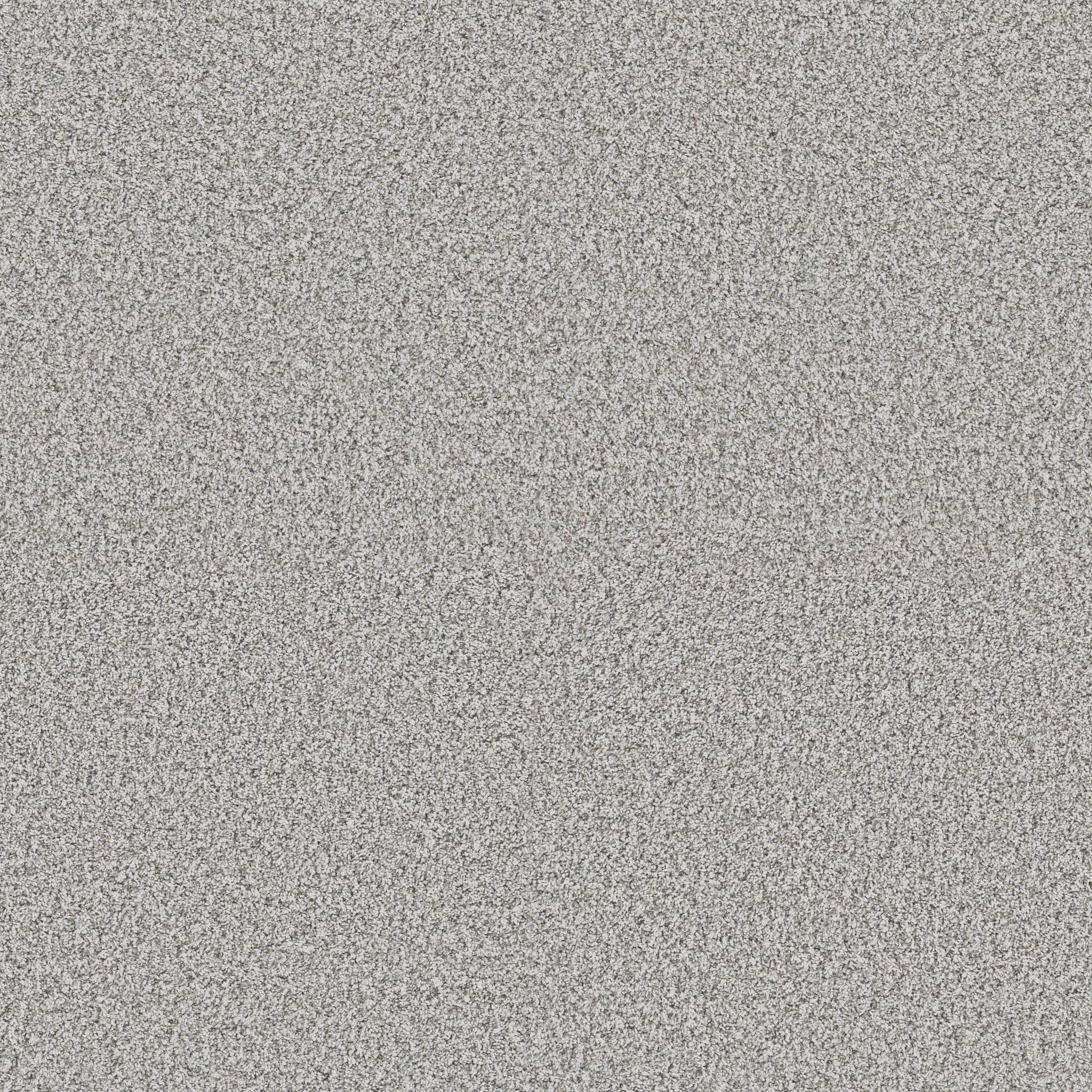 Replenished I Carpet - Snow Bound Zoomed Swatch Image