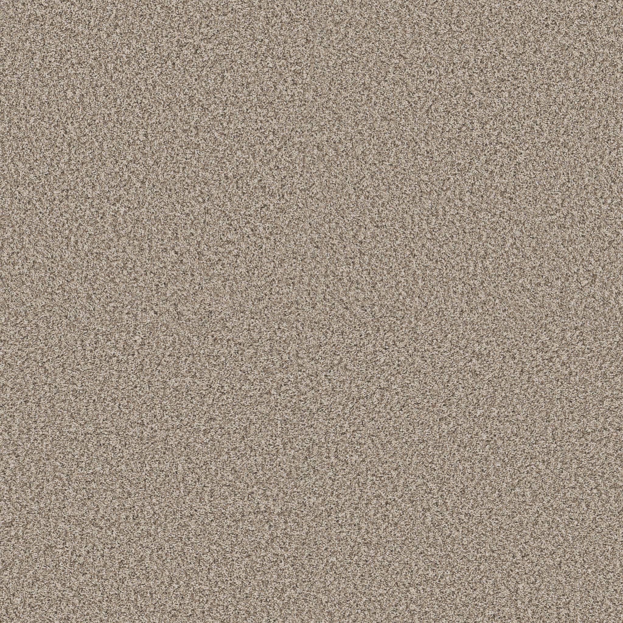 Replenished I Carpet - Sandstone Zoomed Swatch Image