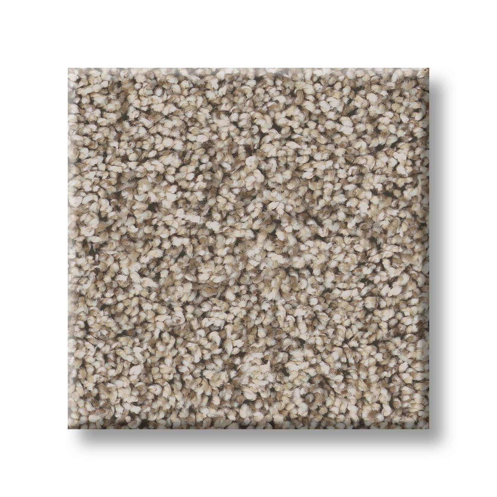 Replenished I Carpet - Sandstone Swatch Thumbnail pupop1