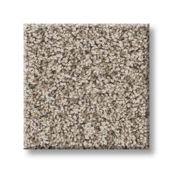 Style Replenished I Carpet - Sandstone Swatch