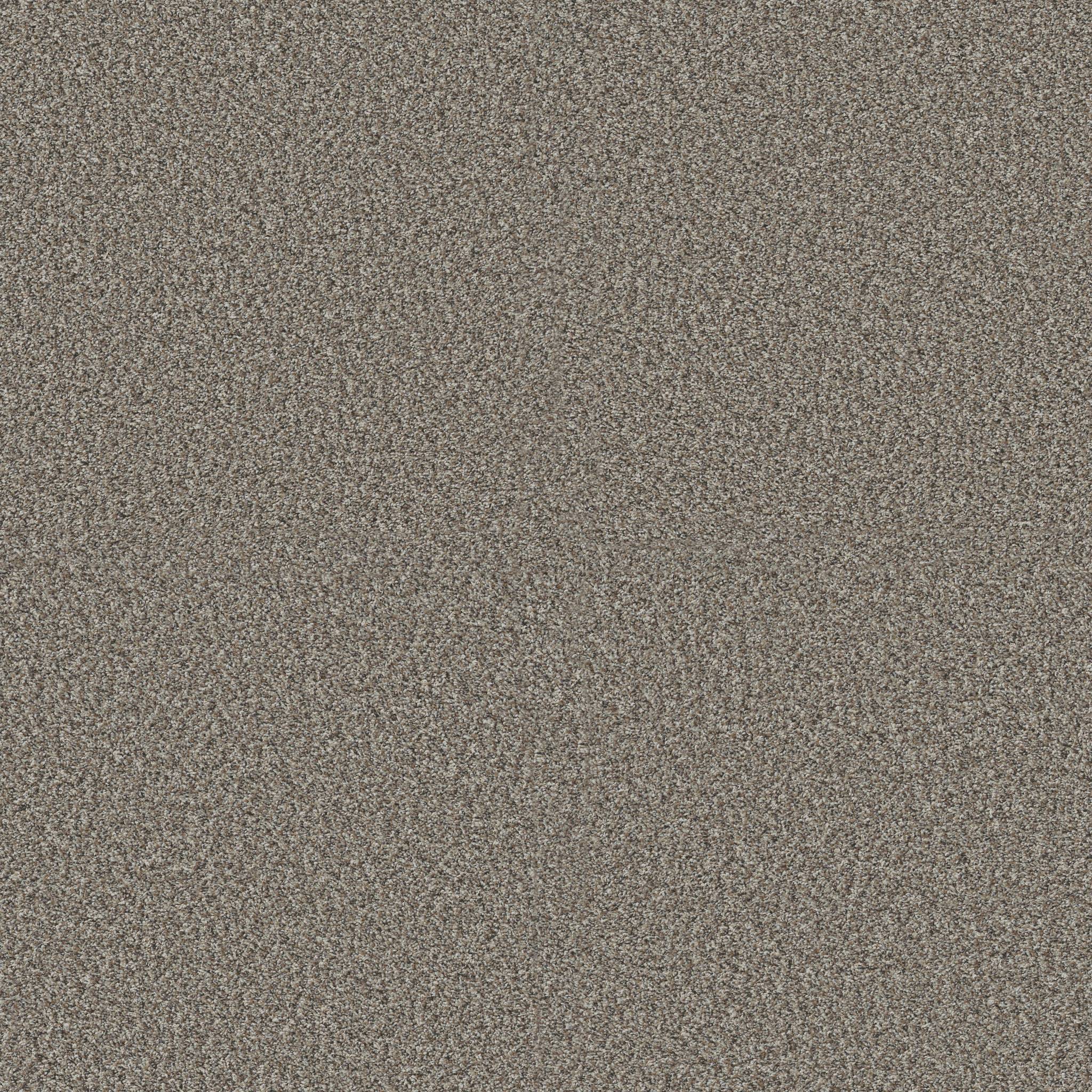 Replenished I Carpet - Granite Zoomed Swatch Image