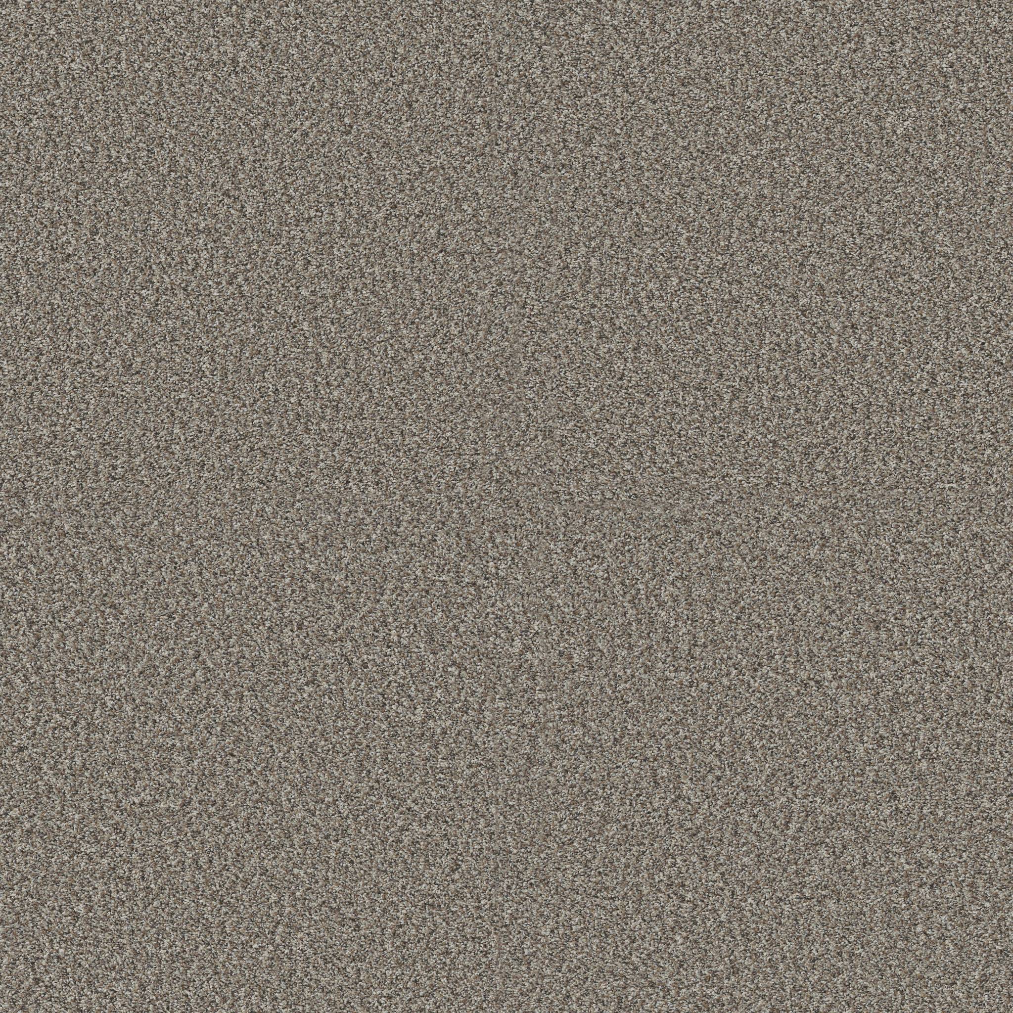 Replenished I Carpet - Granite Zoomed Swatch Image