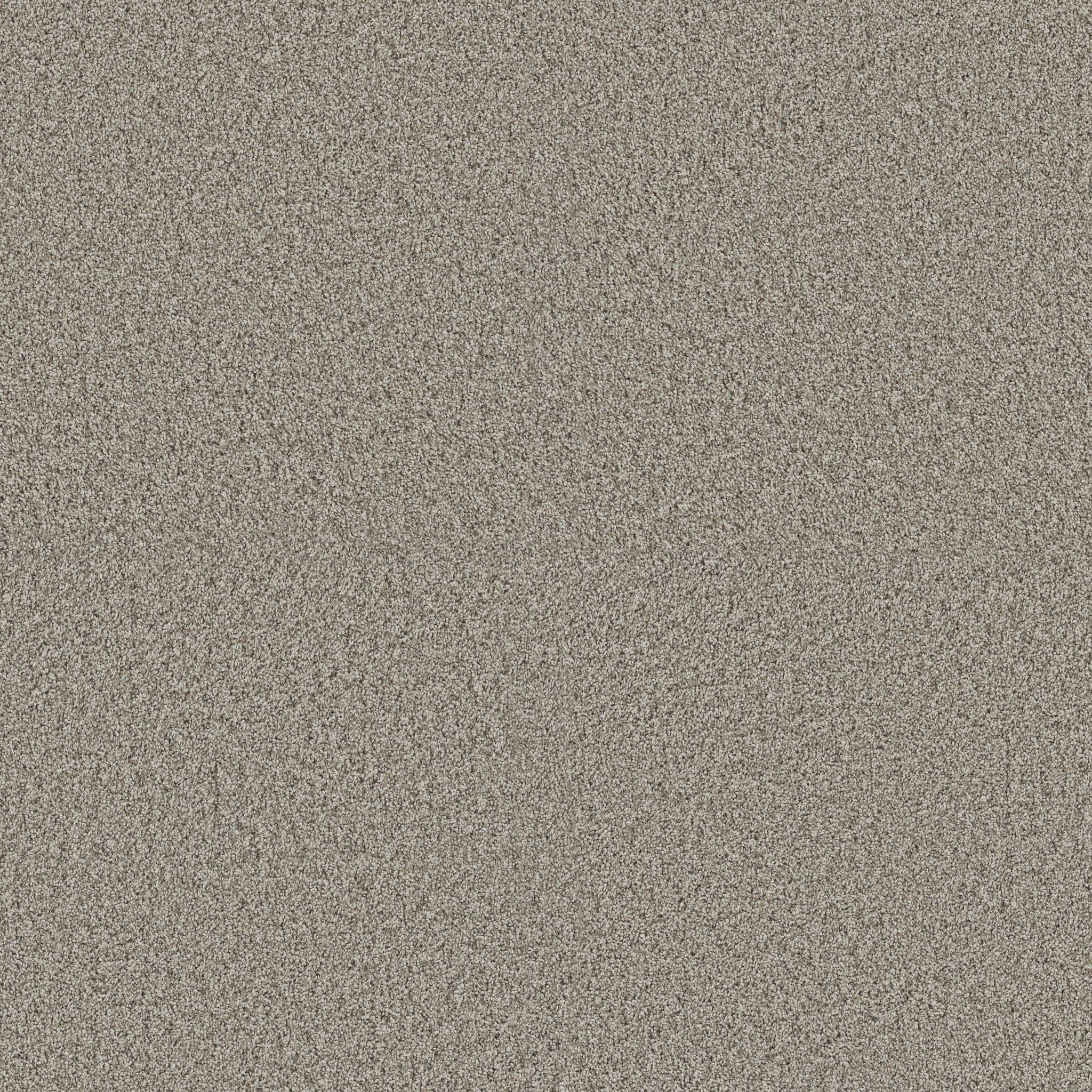 Replenished I Carpet - Landscape Zoomed Swatch Image